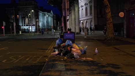 Handheld-shot-of-Dublins-wild-life-on-the-streets