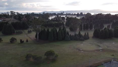 Drone-ascending-over-a-green-field-full-of-pine-trees-and-a-lake-with-early-morning-fog-over-it