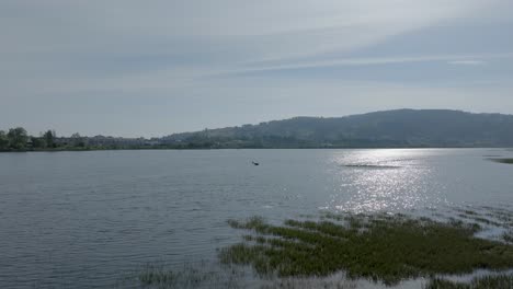 Drone-flying-low-over-estuary-surface-passing-by-black-bird-perched-on-half-submerged-tree-log,-Cantabria