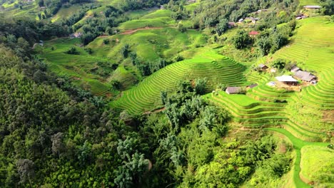 Vivid-green-rice-terraces-contouring-the-hilly-valleys-creating-a-surreal-landscape,-Sapa,-north-Vietnam