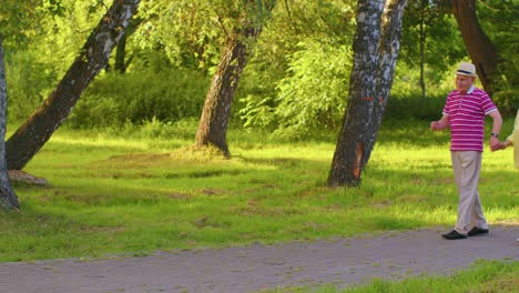 Feliz-Abuelo-De-Familia-Elegante-Senior-Disfrutando-De-Una-Cita,-Bailando,-Caminando-En-El-Parque-De-Verano