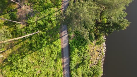 shot-from-a-drone-on-a-runner-running-along-a-road-in-the-middle-of-a-forest-and-next-to-a-river