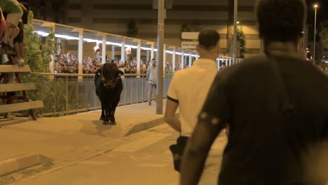 Man-running-in-front-of-a-bull-with-fireballs-on-his-horns-in-a-street-running-of-the-bulls-in-Sagunto