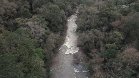 Vista-Aérea-Avanzando-Sobre-Un-Pequeño-Pero-Muy-Fuerte-Río-De-Piedras-En-Medio-De-Una-Densa-Jungla