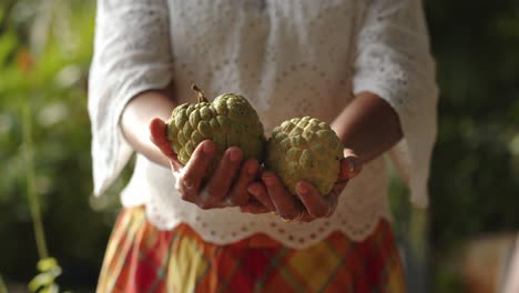 Female-Holding-Sugar-Apples-In-Her-Hands---Close-Up