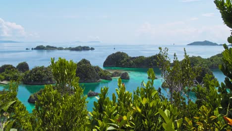 Eine-Schwenk-Up-Aufnahme,-Die-Die-Atemberaubende-Landschaft-Des-Pianemo-Archipels-In-Raja-Ampat,-Indonesien,-Einfängt,-Mit-üppigem-Grünem-Laub-Im-Vordergrund,-Das-Allmählich-Das-Türkisfarbene-Wasser-Und-Die-Felsigen-Inselchen-Freigibt