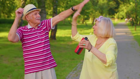 Fröhliche-Alte-Familie-Im-Ruhestand,-Großmutter,-Großvater,-Tanzen-Und-Hören-Musik-Auf-Einem-Musiklautsprecher-Im-Park