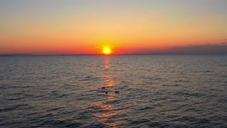 Luftaufnahme-Von-Schwimmenden-Möwen-Mit-Orangefarbenem-Sonnenuntergang-Im-Hintergrund-Am-Findhorn-Beach-In-Schottland