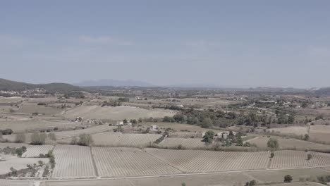 Campos,-Sequía,-Campos-Secos,-Vista-Aérea,-Vista-De-Dron,-Multiespectral,-45m-De-Altura,-Viñedos,-Olivos,-Nectarinas,-Manzanos,-Cerezos