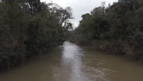 Avanzando-Sobre-Un-Río-Tranquilo-En-Medio-De-La-Densa-Selva-Amazónica,-Pulmón-Del-Mundo.