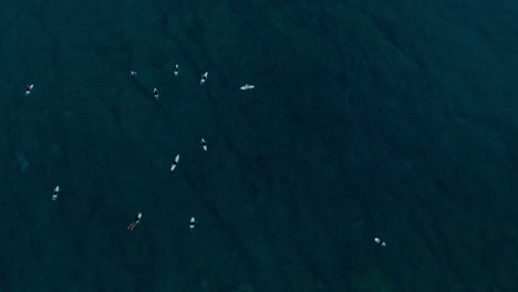 Drone-top-down-aerial-of-surfers-waiting-in-lineup,-white-boards-in-dark-ocean-water