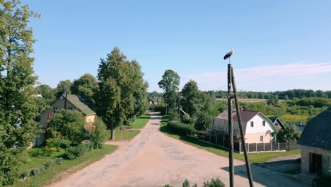 Stork-perches-on-wooden-electricity-pole,-overlooking-tranquil-Latvian-village-near-Belarus-border