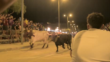 Encierro-De-Toros-Con-Bolas-De-Fuego-En-Los-Cuernos-En-Un-Evento-De-Toros-Embolados-En-Sagunto