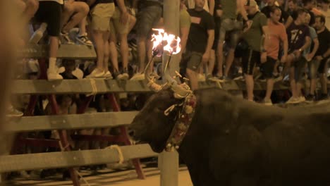 Bullfighters-without-a-cape-passing-in-front-of-a-bull-with-fireballs-on-its-horns-in-a-street-running-of-the-bulls-in-Sagunto-in-a-popular-event