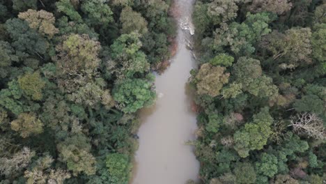 Imagen-Aérea-Aérea-De-La-Selva-Amazónica-Con-Un-Hermoso-Río-Que-Fluye-Por-El-Medio.