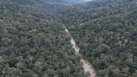 Drohnenansicht-Eines-Flusses-Mit-Braunem-Wasser,-Der-Sich-Durch-Die-Mitte-Des-Amazonas-Regenwalds-Schlängelt