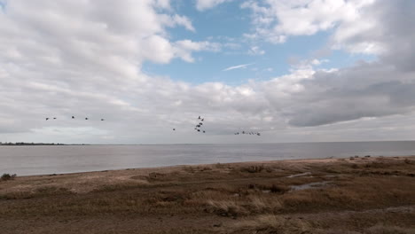 Birds-flying-in-a-flock-over-estuary-with-a-beautiful-sky-an-sunlight,-wide-pan-shot