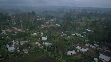 Aerial-view-tilting-down-shot,-scenic-view-of-the-village-and-palm-trees