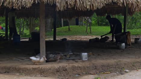 La-Vida-De-Los-Habitantes-De-Un-Pueblo-Brasileño-Con-Patos-Y-Gallinas