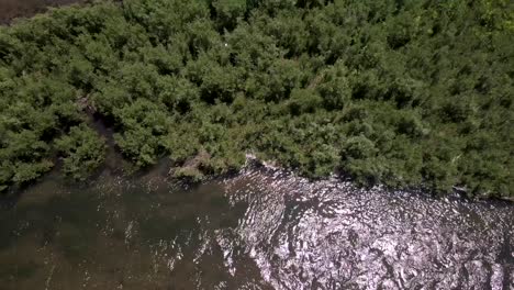 Beautiful-river-near-Gunnison-National-Forest-in-Colorado-USA-from-above-through-an-aerial-view-drone-shot