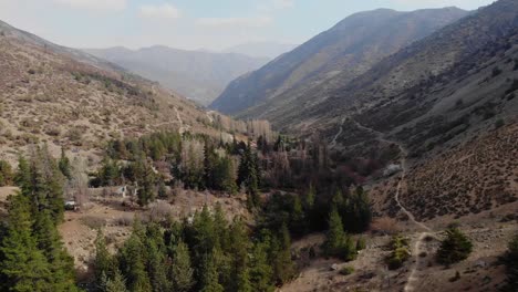 Aerial-flying-on-valley-in-the-Andes-over-tall-trees-4K