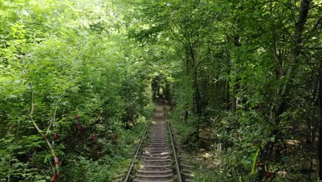 Vías-Del-Tren-Del-Túnel-Del-Amor-En-Ucrania-En-Un-Tranquilo-Día-De-Verano