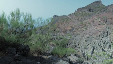 Male-hiker-walking-on-rocky-path-in-the-distance-with-huge-mountain-in-background-in-Teno-mountains,-Tenerife