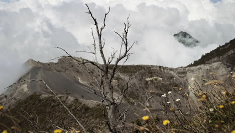 Peak-of-volcano-Irazu-above-white-clouds,-National-Park,Costa-Rica,-shallow-depth-of-focus,-branches-in-foreground