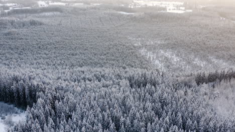 Luftaufnahme,-Rückwärtsaufnahme-Einer-Drohne,-Schwenk-über-Einen-Schneebedeckten-Wald,-Enthüllt-Eine-Hütte-An-Einem-Düsteren-Wintertag-In-Finnland