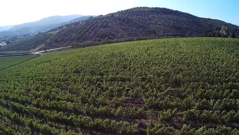 Frescobaldi-aerial-view-of-industry-vineyards,-Chianti-wine-production-company-near-Pontassieve