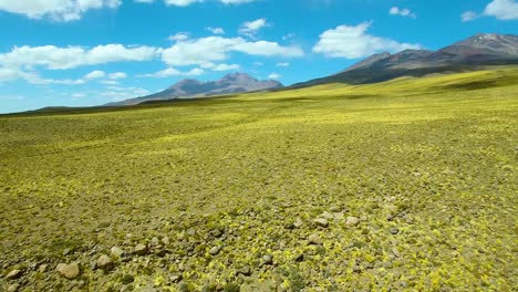 Going-up-high-on-the-drone-near-San-Pedro-de-Atacama-in-the-north-of-Chile,-fly-over-flower-fields-and-mountain-range