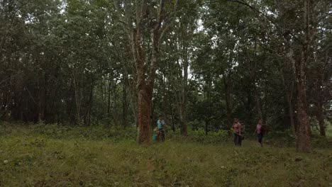 Three-females-walking-in-the-wild