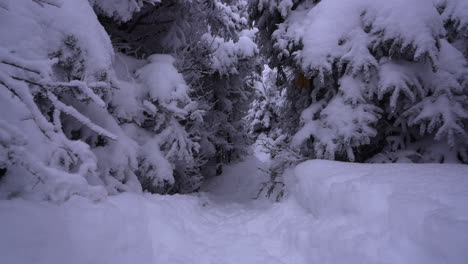 Dolly-Pan-Rodada-En-El-Maravilloso-Invierno-De-La-Montaña-Del-Este-De-Canadá