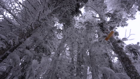 Dolly-Pan-Shot-Im-Wunderbaren-Winterlichen-Ostkanadischen-Berg