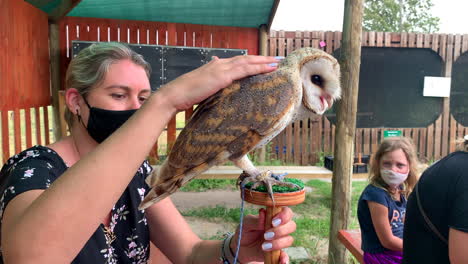 Woman-stroking-a-Barn-Owl-sitting-on-a-perch-at-Bird-show-in-Cape-Town-South-Africa