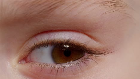 Human-brown-eye-iris-opening-pupil,-eyeball-of-child-looking-intro-distance-close-up-macro-shot