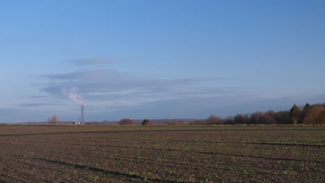 Ein-Feld-Mit-Jungen-Pflanzen-Und-Am-Horizont-Ein-Funktionierender-Schornstein-Im-Blauen-Himmel