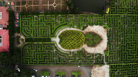 Aerial-View-Of-Pineapple-Shaped-Maze-At-Oahu-Farm,-Hawaii