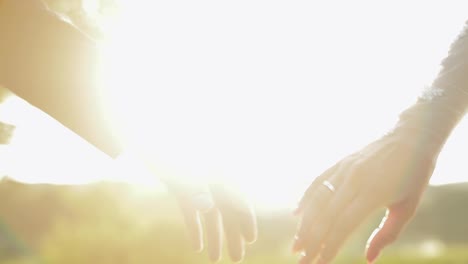 Hands-of-bride-and-groom-in-sunbeams.-Wedding-couple.-Happy-family.-Newlyweds