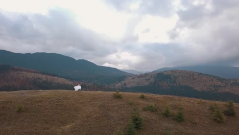 Vista-Aérea-De-Los-Encantadores-Recién-Casados-Novios-Bailando-En-La-Ladera-De-La-Montaña-Otoñal,-Familia-De-Pareja-De-Novios