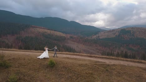 Novios-Recién-Casados-Caminando-Por-La-Ladera-De-La-Montaña,-Besándose,-Familia-De-Novios,-Vista-Aérea