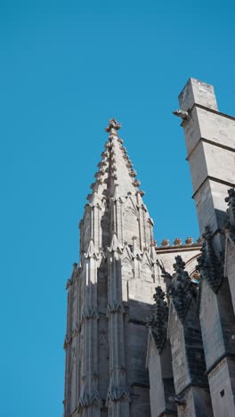 Vertikale-Ansicht-Der-Kathedrale-Basilica-De-Santa-Maria-Von-Mallorca,-Blauer-Himmel-Tag