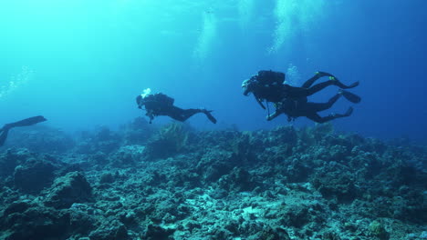 Ein-Wunderschönes-Unterwasservideo-Von-Drei-Tauchern,-Die-Unter-Wasser-Geführt-Werden-Und-Gegen-Die-Starke-Meeresströmung-Schwimmen