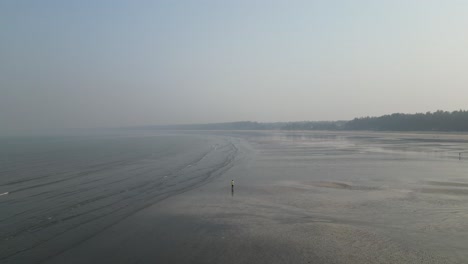 Aerial-dolly-forward-in-deserted-beach,-an-unidentified-boy-standing,-deserted-wild-beach-by-the-sea-with-birds-flying-Palghar-Maharashtra-India-4K