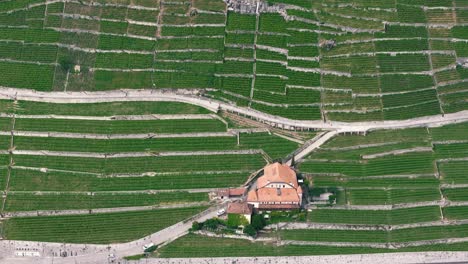 Einspielung-Von-Weinbergen-In-Den-Bergen-Mit-Villa-Und-Autobahn