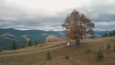 Lovely-young-newlyweds-bride-and-groom-embracing,-making-a-kiss-on-mountain-slope,-wedding-couple