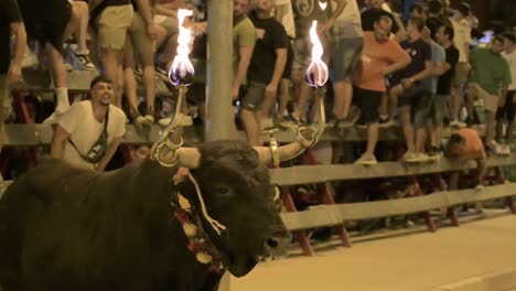 Close-up-of-a-bull-with-fireballs-in-its-horns-at-a-running-of-the-bulls-with-spectators-at-the-barriers-in-Sagunto