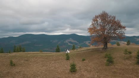 Lovely-young-newlyweds-bride-groom-walking-on-mountain-slope,-wedding-couple-family,-aerial-view