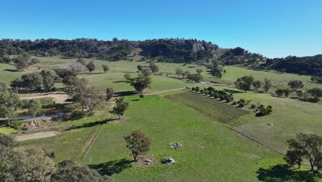 Rolling-hills-and-vineyards-near-Mount-Teneriffe-in-Victoria