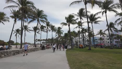 Pathway-lined-with-palm-trees-and-people-walking-along-the-beachfront-in-Miami-Beach,-USA